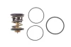 Термостат Knecht/Mahle TX 496 91D (фото 1)