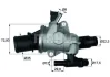 Термостат Knecht/Mahle TI 152 88 (фото 1)